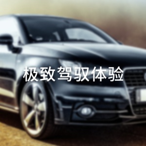 車險(xiǎn)