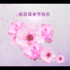 祝所有鸟人【母亲节】快乐